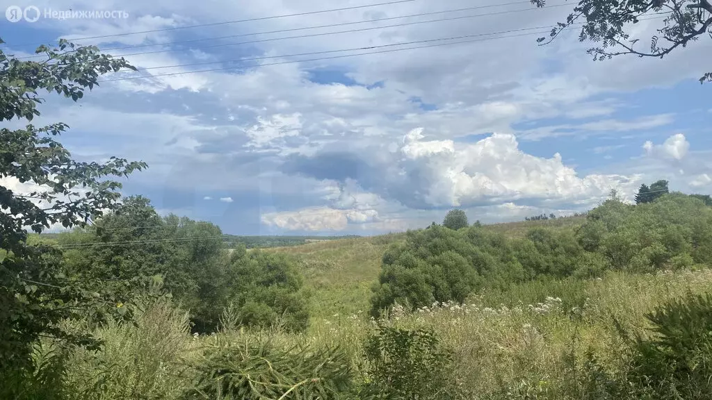 Дом в Щёкинский район, муниципальное образование Крапивенское, село ... - Фото 1