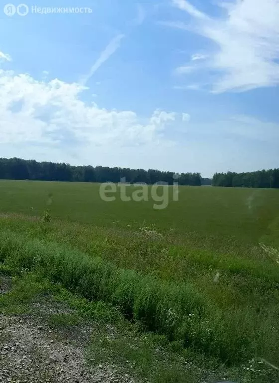 Участок в Курганская область, Катайский муниципальный округ, село ... - Фото 0