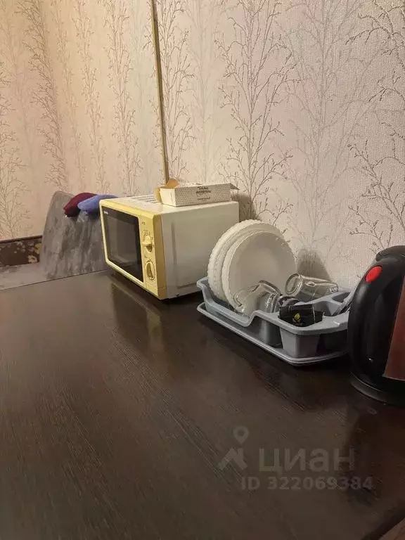 Комната Ленинградская область, Сланцы Гавриловская ул., 29 - Фото 1