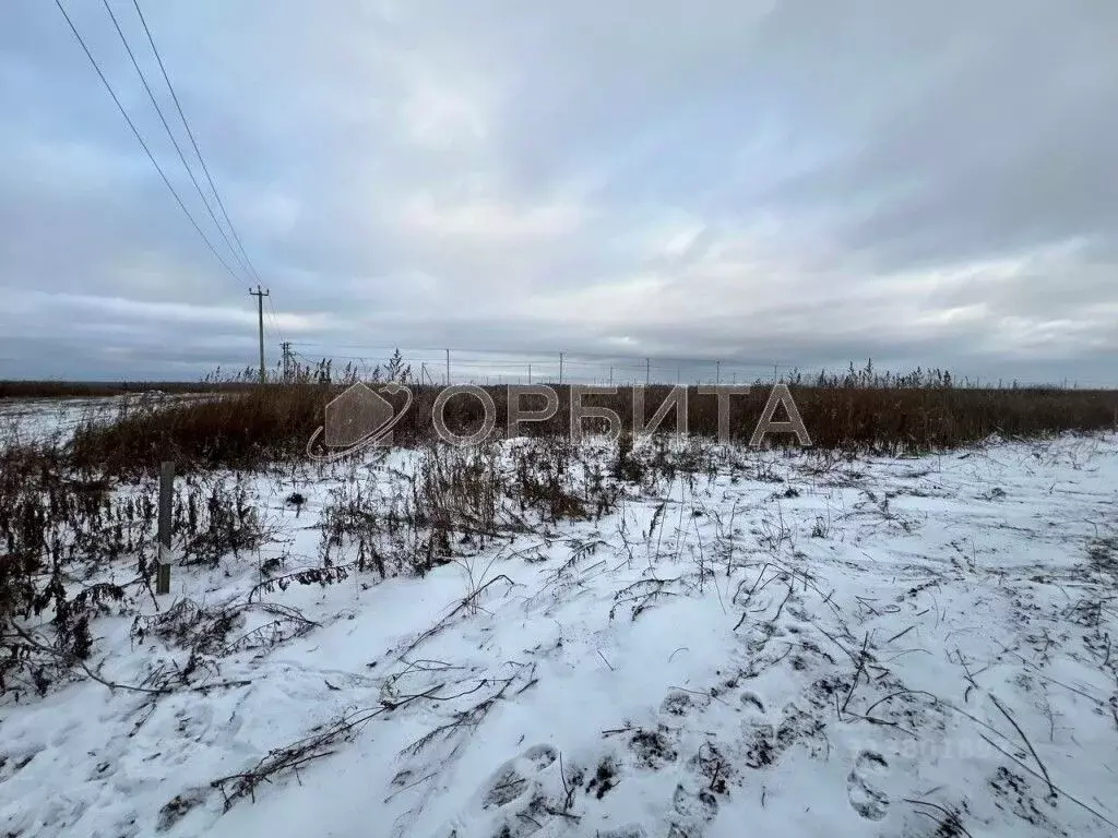 Участок в Тюменская область, Тюменский район, д. Малиновка ул. ... - Фото 1