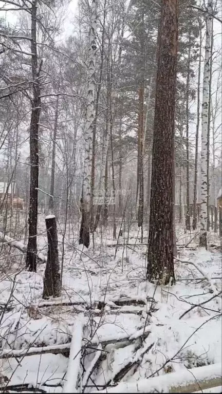 Участок в Иркутская область, Иркутский муниципальный округ, пос. ... - Фото 1