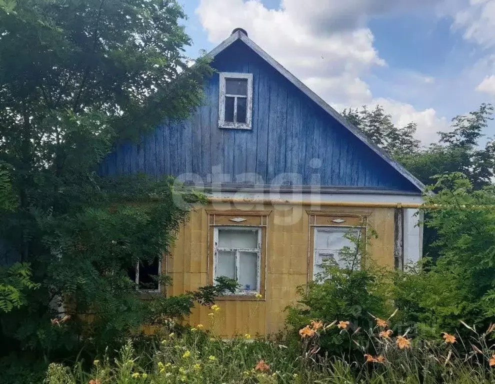 Дом в Белгородская область, Чернянский муниципальный округ, с. ... - Фото 2