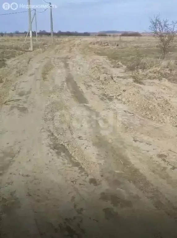 Участок в Калининградская область, Гурьевский муниципальный округ, ... - Фото 2