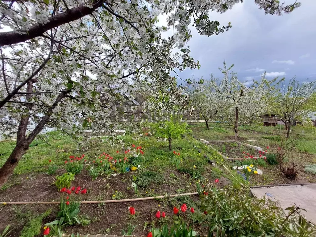 Дом в Волгоградская область, Волгоград Металлург СНТ, 3-й участок ... - Фото 2