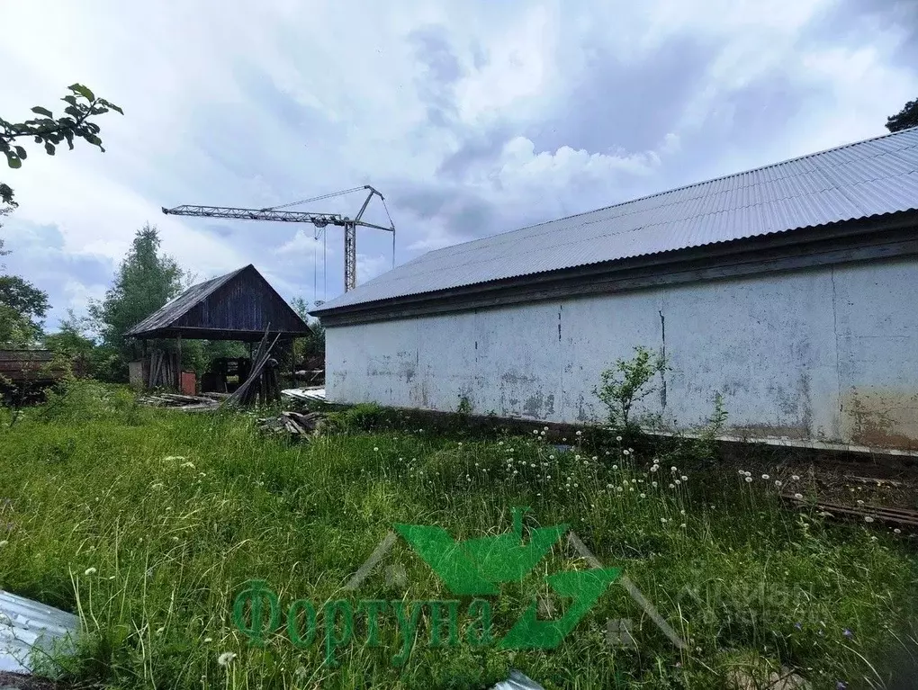 Производственное помещение в Владимирская область, Кольчугино ул. ... - Фото 1