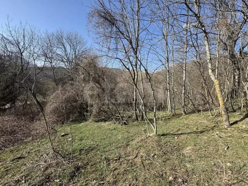 Участок в Крым, Алушта муниципальный округ, с. Лучистое  (176.0 сот.) - Фото 2