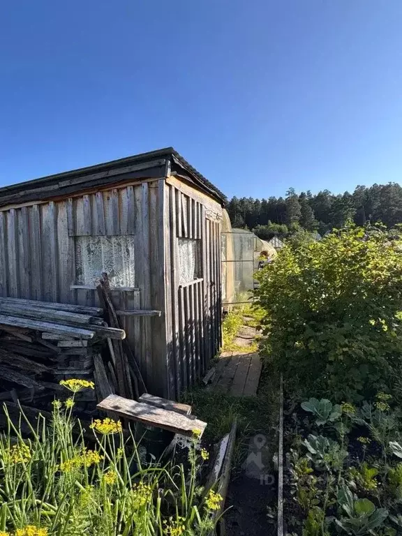 Участок в Свердловская область, Полевской ПО Коллективный сад ПКЗ №1 ... - Фото 0