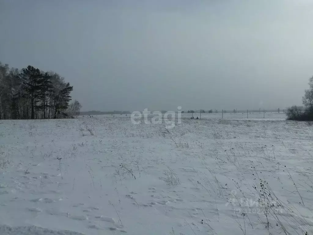 Участок в Алтайский край, Барнаул Интернациональная ул., 77/39 (14.8 ... - Фото 0