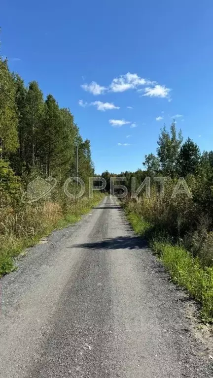 Участок в Тюменская область, Нижнетавдинский район, Сундукуль СНТ  ... - Фото 0