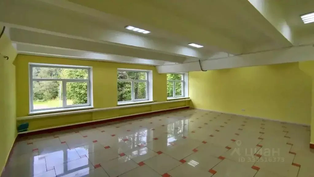 Помещение свободного назначения в Санкт-Петербург, Санкт-Петербург, ... - Фото 1