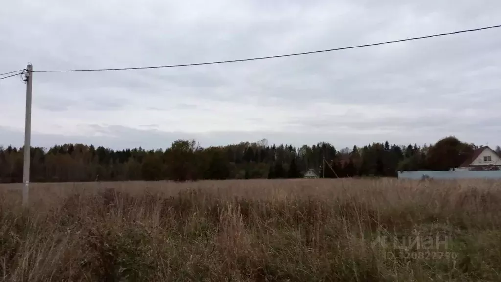 Участок в Ленинградская область, Тосненский район, Любанское городское ... - Фото 2