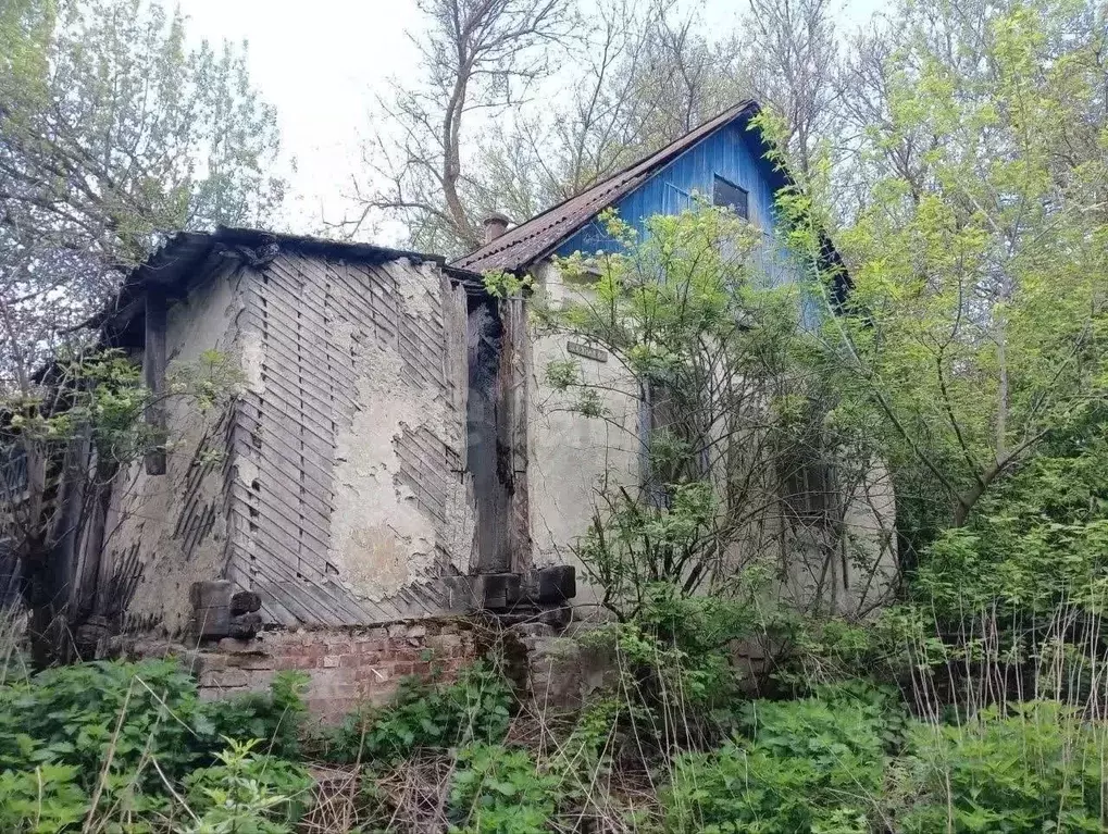 Дом в Курская область, Пристенский сельсовет, с. Южное Двоелучное  (51 ... - Фото 1