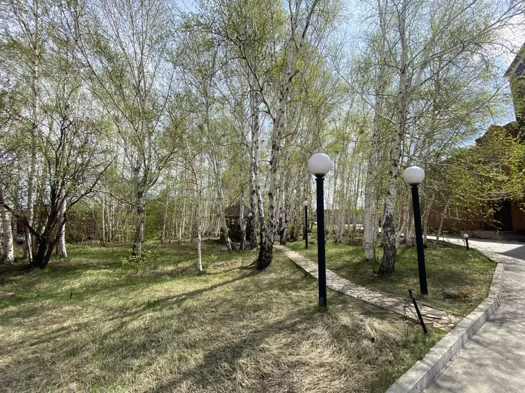 Помещение свободного назначения в Иркутская область, Иркутск ул. Розы ... - Фото 2