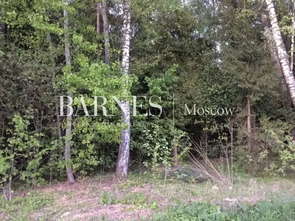Участок в Московская область, Одинцовский городской округ, Горское ... - Фото 1