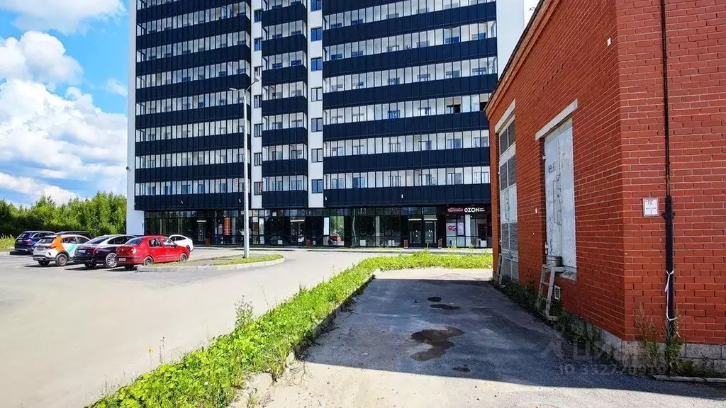 Студия Санкт-Петербург ул. Крыленко, 36к2 (26.6 м) - Фото 2