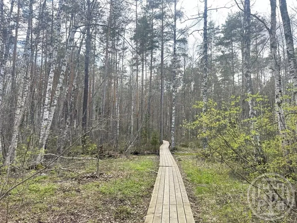 Участок в Санкт-Петербург пос. Серово, Молодежное СНТ, проезд 1-й ... - Фото 2