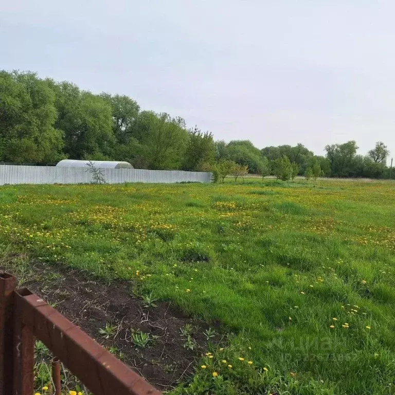 Участок в Тульская область, Веневский муниципальный округ, д. ... - Фото 2