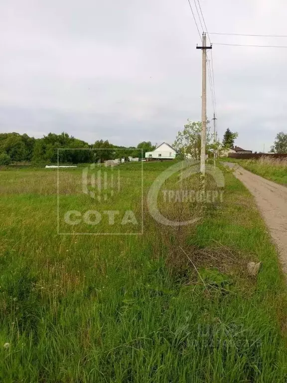 Участок в Воронежская область, Семилукский район, с. Медвежье Заречная ... - Фото 1