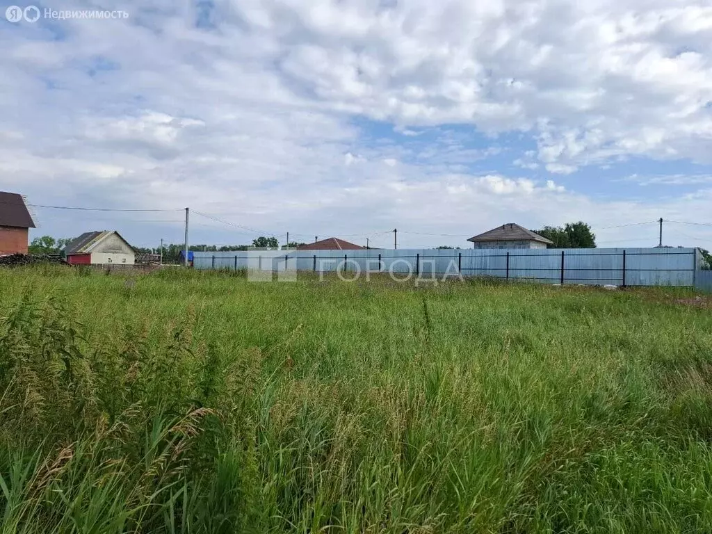 Участок в Новосибирский район, Верх-Тулинский сельсовет, ДНТ Берёзка, ... - Фото 0