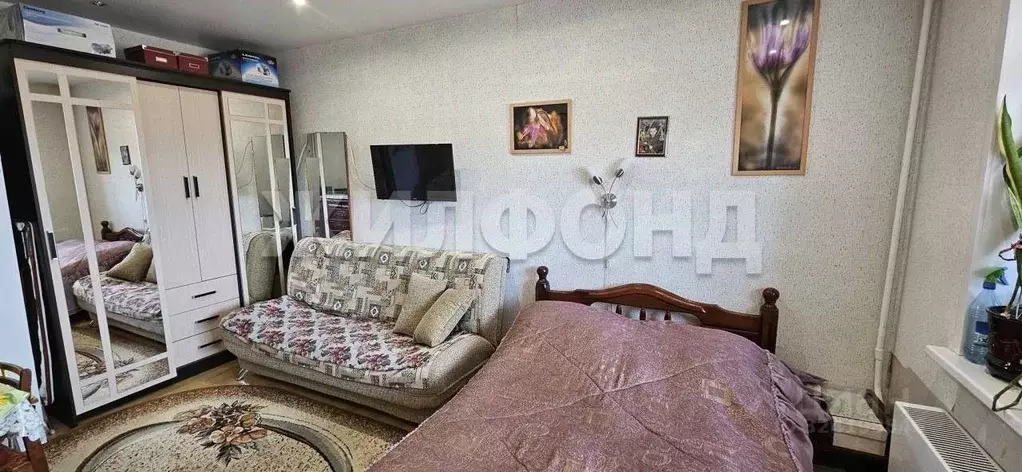 1-к кв. Новосибирская область, Новосибирск Первомайская ул., 232 (26.0 ... - Фото 2