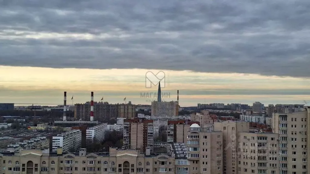 Студия Санкт-Петербург Коломяжский просп., 13к2 (26.0 м) - Фото 1