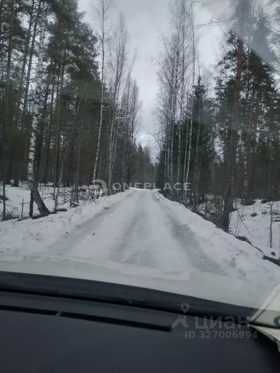 Участок в Ленинградская область, Выборгский район, Рощинское городское ... - Фото 1