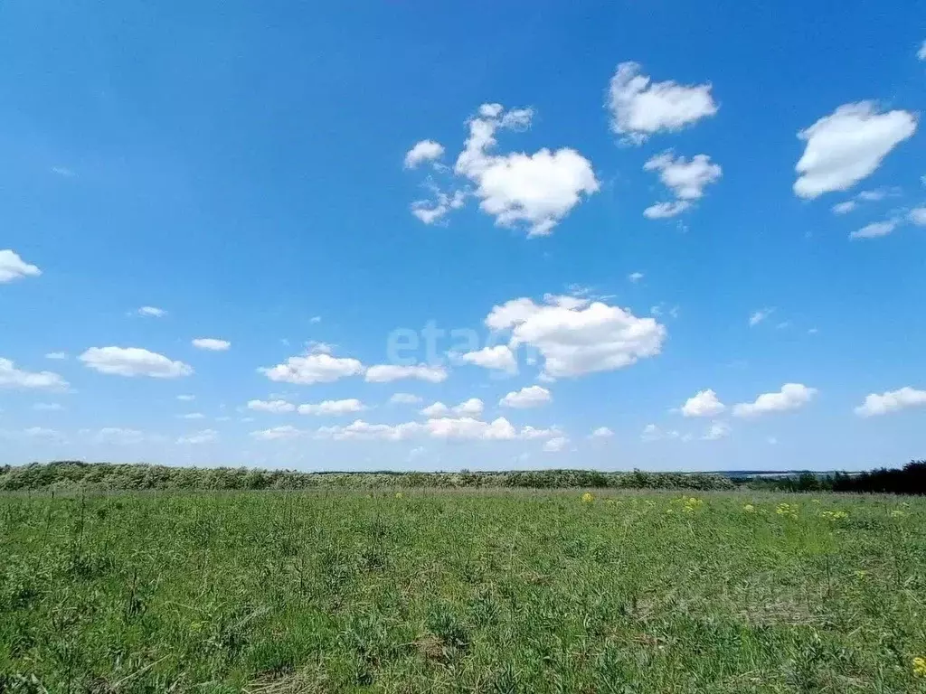 Участок в Курская область, Курский район, Нижнемедведицкий сельсовет, ... - Фото 0