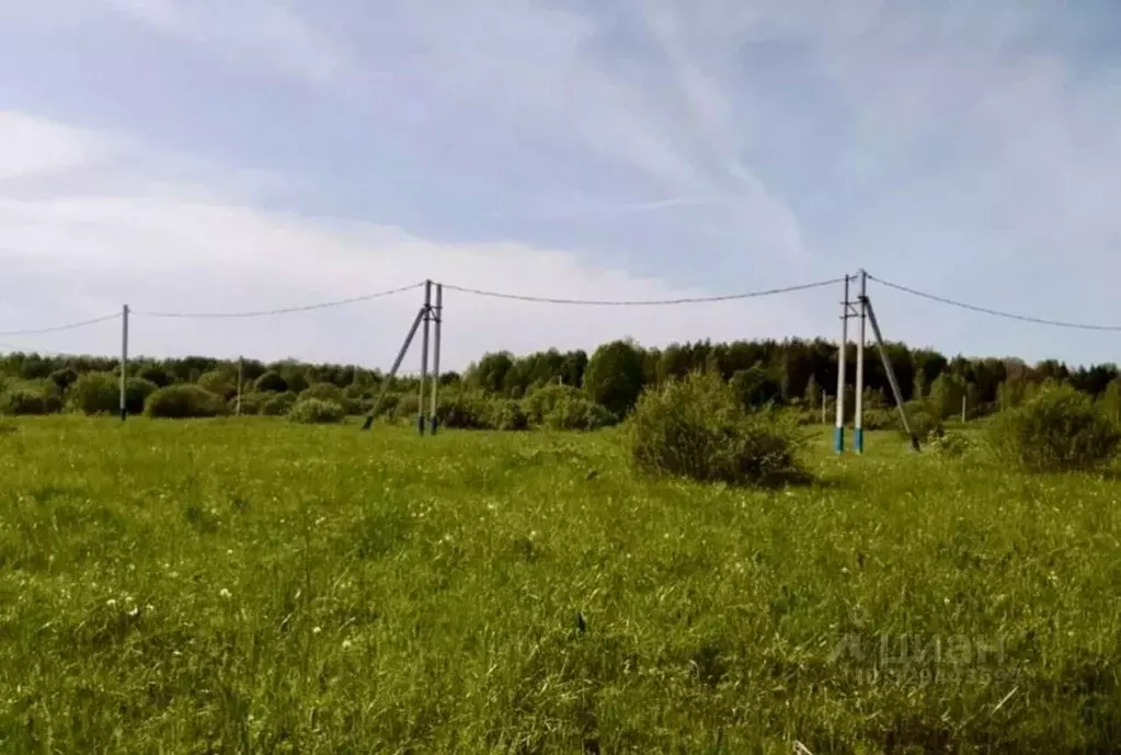 Участок в Московская область, Клин городской округ, д. Микляево 3 (8.0 ... - Фото 1