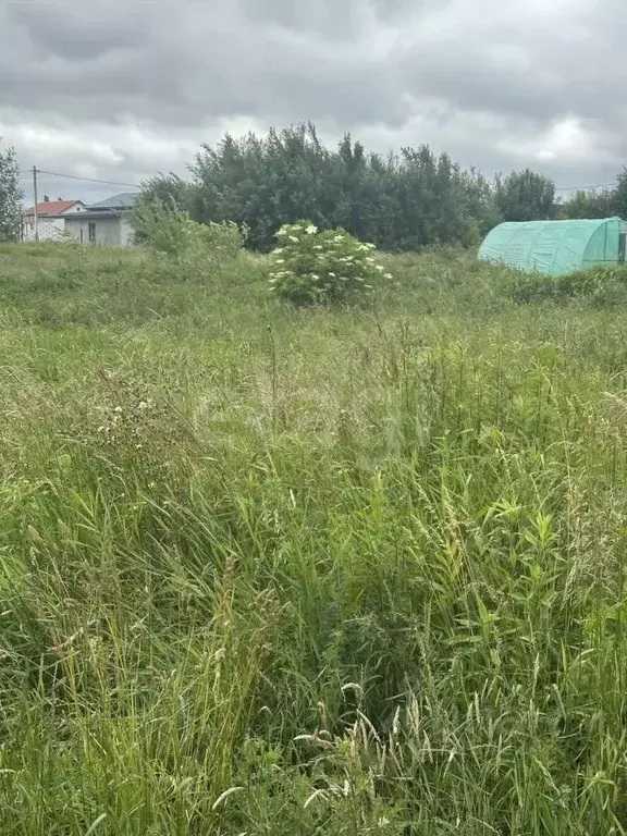 Участок в Калининградская область, Гурьевский муниципальный округ, ... - Фото 2