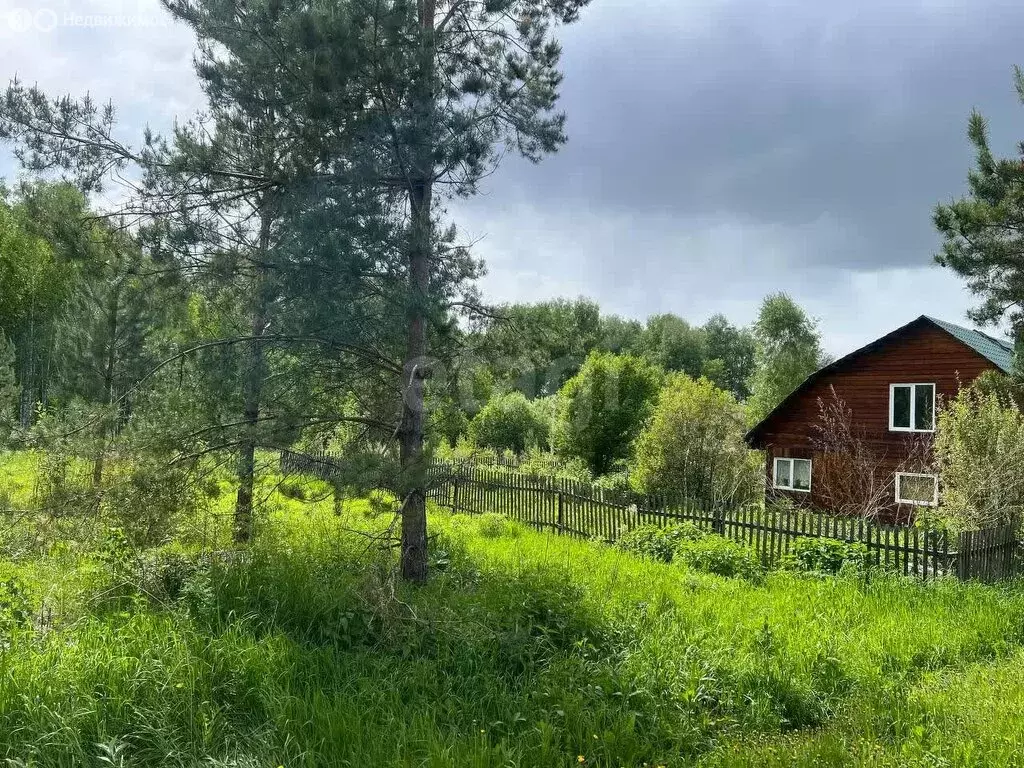 Участок в Тогучинский район, СТ Прожектор (5.2 м) - Фото 1