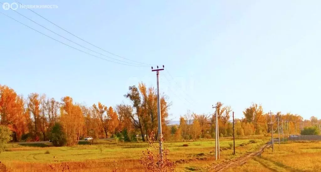 Участок в Красноярский край, Минусинский муниципальный округ, посёлок ... - Фото 1