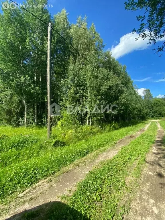 Участок в Вологодский муниципальный округ, садоводческое товарищество ... - Фото 1