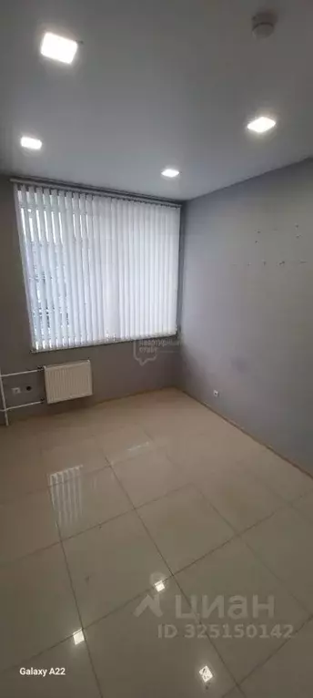 Офис в Владимирская область, Владимир ул. Комиссарова, 53А (13 м) - Фото 1