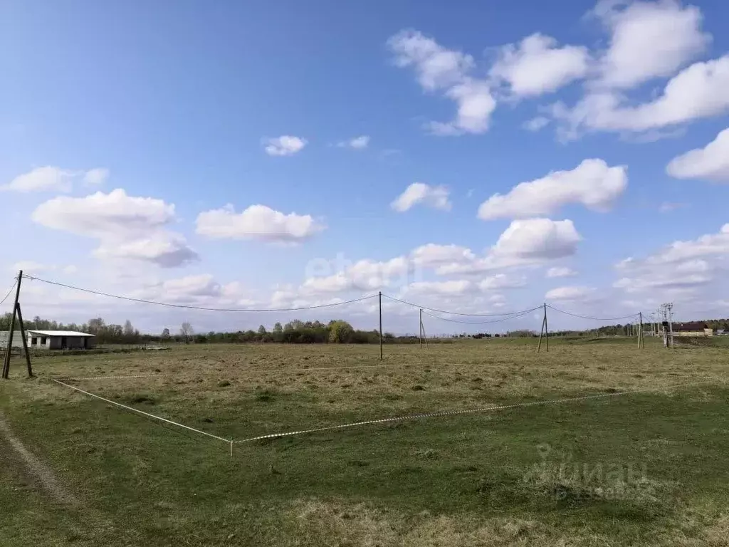 Участок в Красноярский край, Березовский район, Есаульский сельсовет, ... - Фото 0