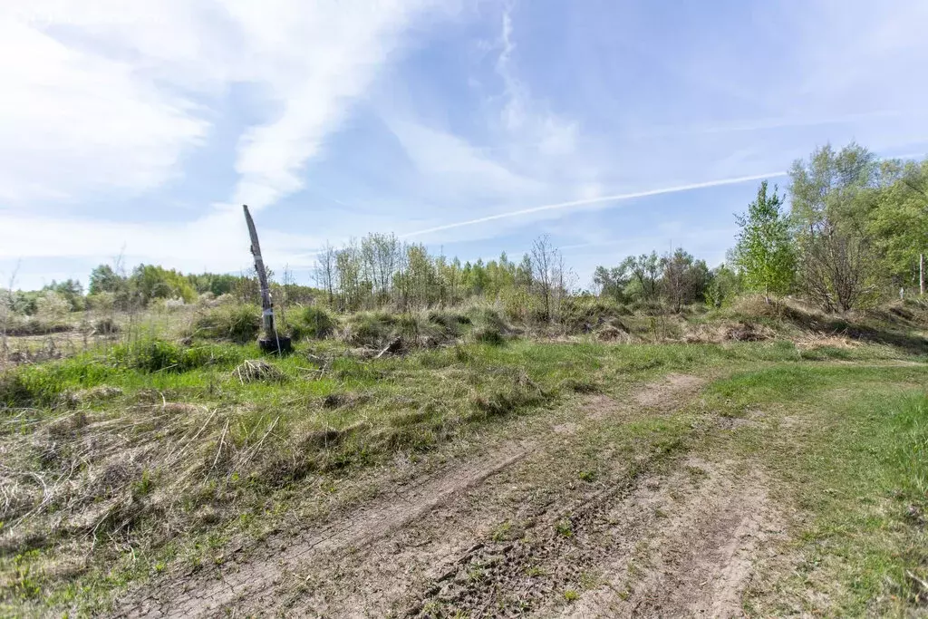 Участок в село Бизино, деревня Будалино (17.5 м) - Фото 2