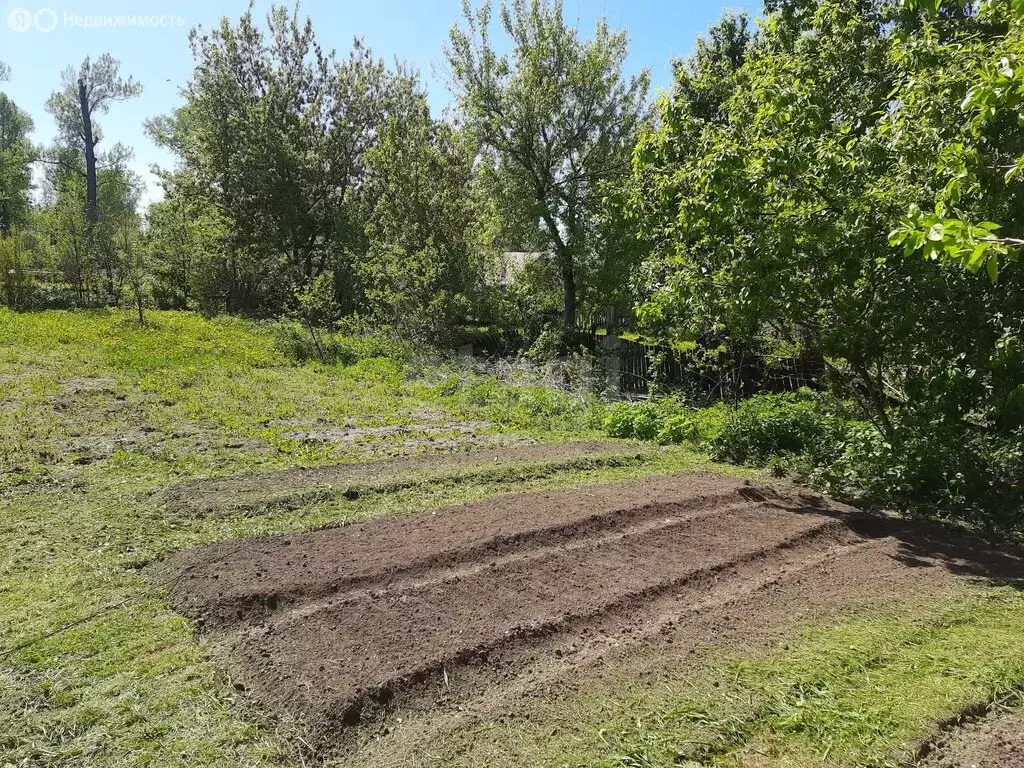 Участок в Аша, улица Вавилова (15.34 м) - Фото 2