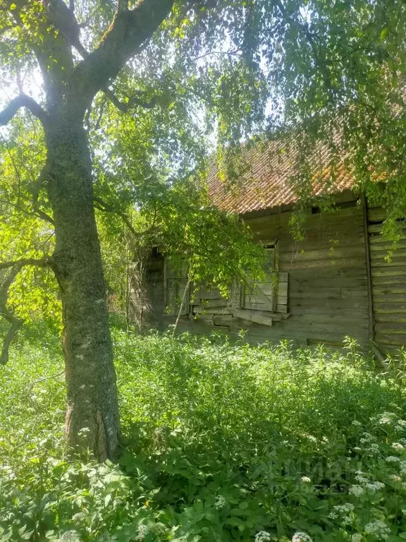 Дом в Псковская область, Печорский муниципальный округ, д. Декшино  ... - Фото 0