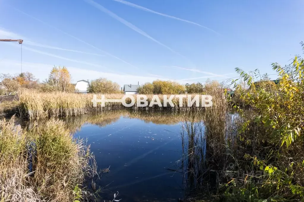 Участок в Новосибирская область, Новосибирск Пенсионер садовое ... - Фото 0