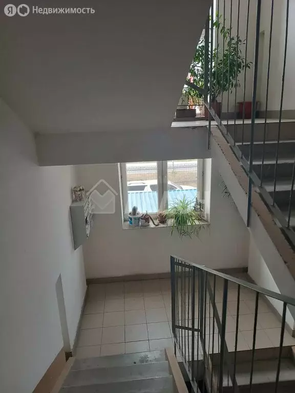 1-комнатная квартира: Омск, улица Конева, 44 (34.8 м) - Фото 2