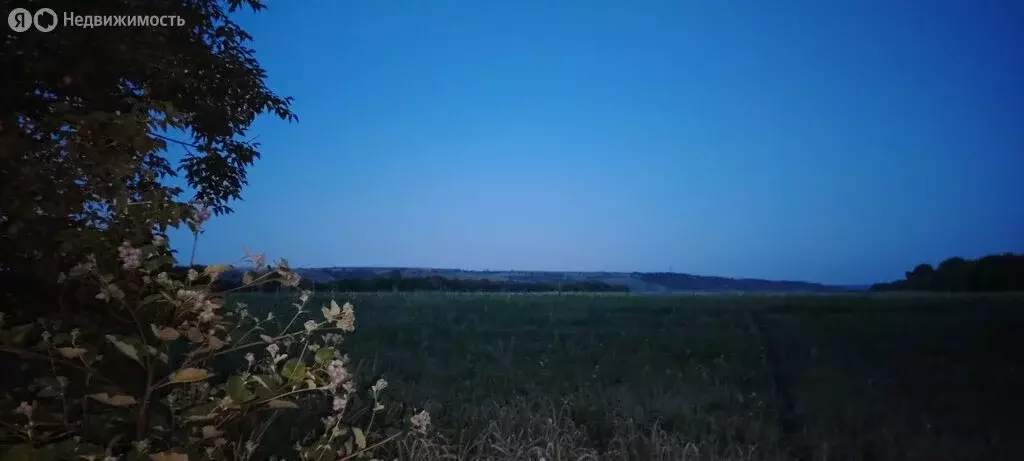 Участок в село Берёзовка, Рябиновая улица (8 м) - Фото 1