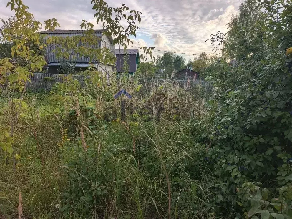 Участок в Татарстан, Казань Белянкино СНТ, 341 (4.5 сот.) - Фото 1