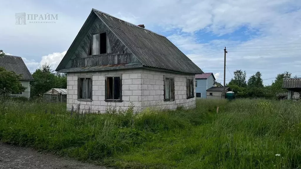 Участок в Ленинградская область, Ломоносовский район, Лебяженское ... - Фото 0