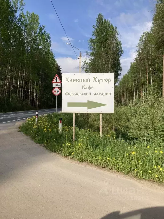 Участок в Псковская область, Печорский муниципальный округ, д. ... - Фото 2