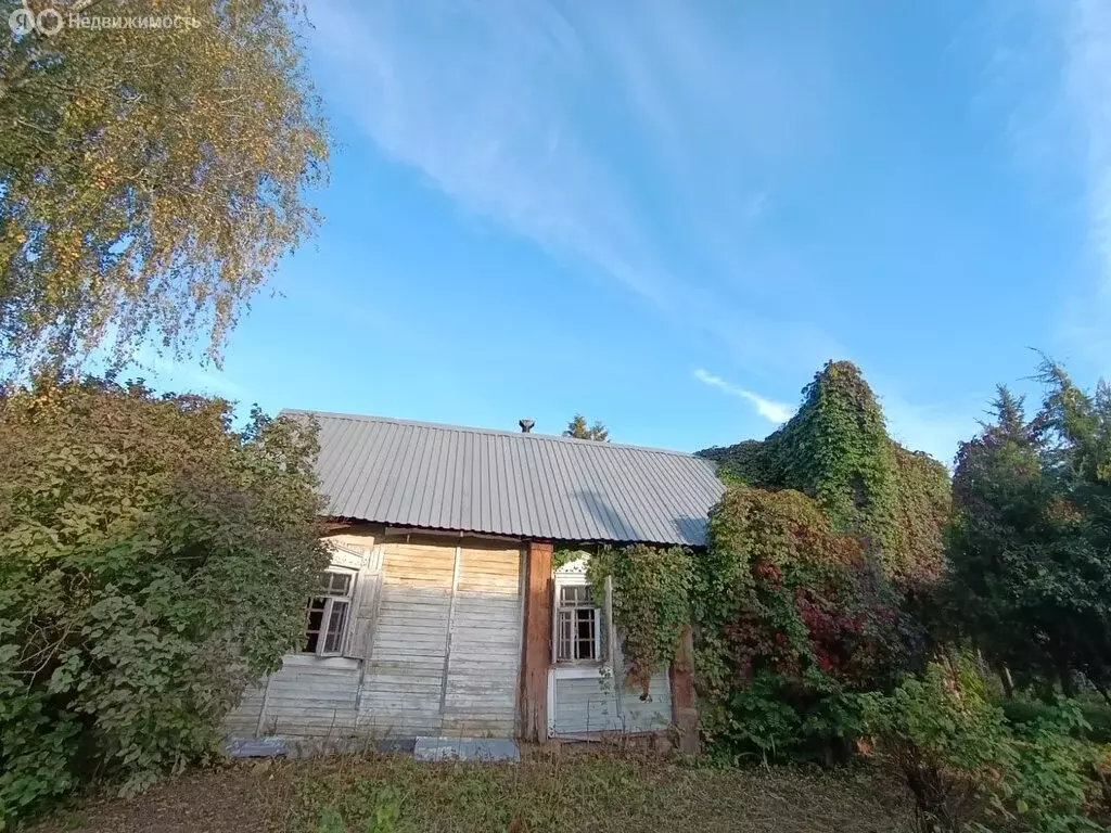 Участок в деревня Большие Жеребцы, 40 (7.5 м) - Фото 1