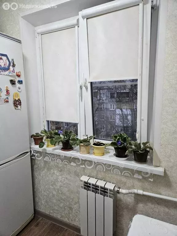 2-комнатная квартира: Нижний Новгород, Автомеханическая улица, 14 (46 ... - Фото 1