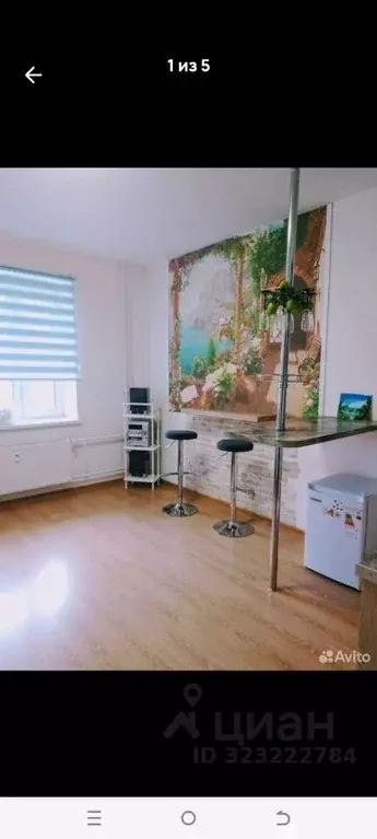 Студия Ленинградская область, Всеволожский район, д. Новое Девяткино ... - Фото 1