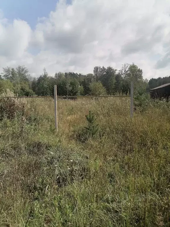 Участок в Томская область, Томский район, пос. Мирный, Мирный мкр  ... - Фото 2