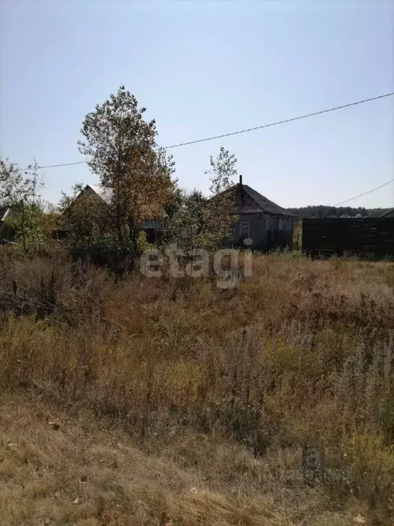 Участок в Воронежская область, Бобровский район, Никольское с/пос, ... - Фото 1