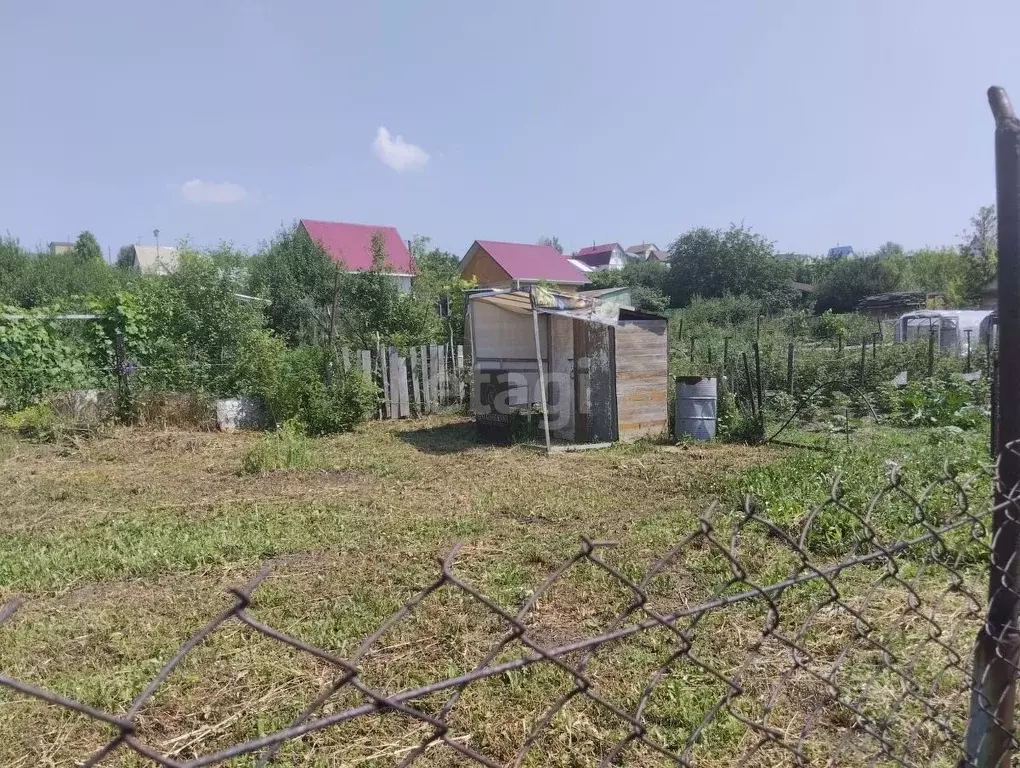 Участок в Алтайский край, Барнаул городской округ, Поселок Казенная ... - Фото 1