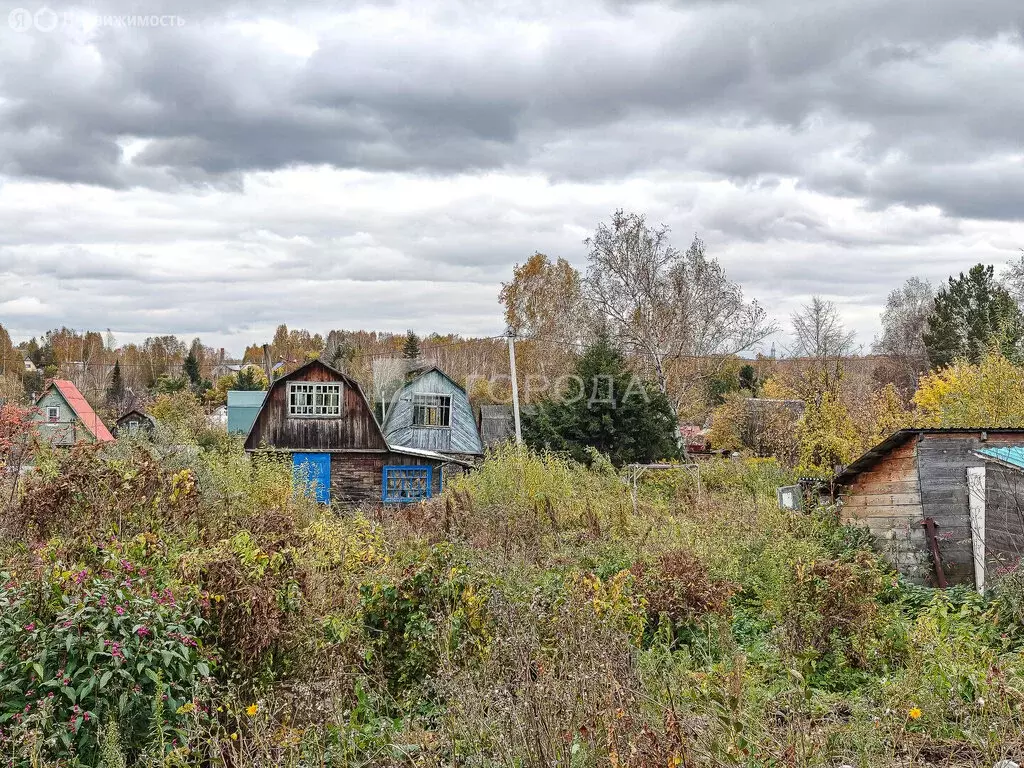 Участок в Новосибирск, СНТ Золотая Горка, аллея В (6 м) - Фото 0